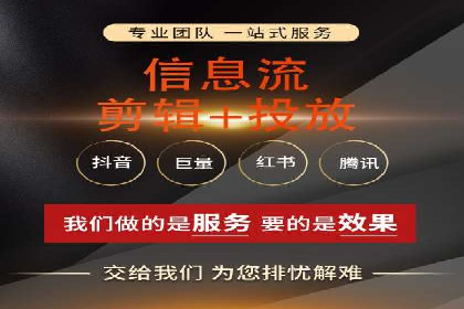 抖音信息流代理在电商行业的应用案例分析